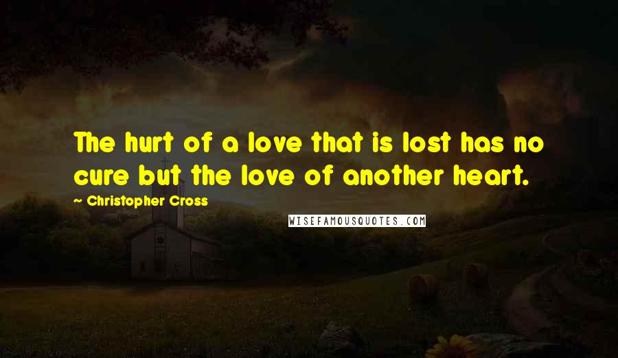 Christopher Cross Quotes: The hurt of a love that is lost has no cure but the love of another heart.