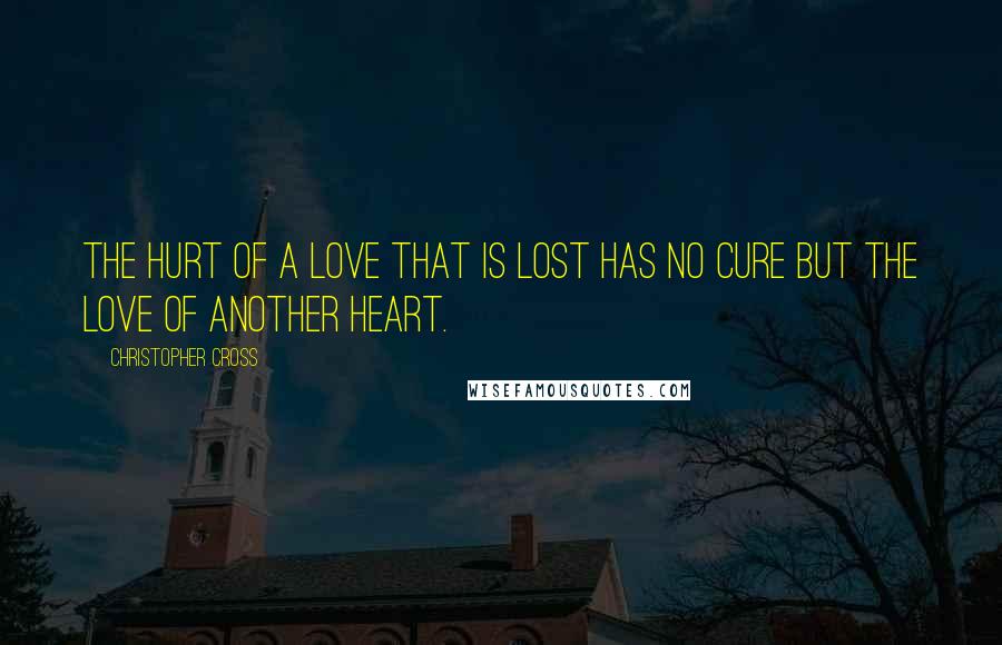 Christopher Cross Quotes: The hurt of a love that is lost has no cure but the love of another heart.