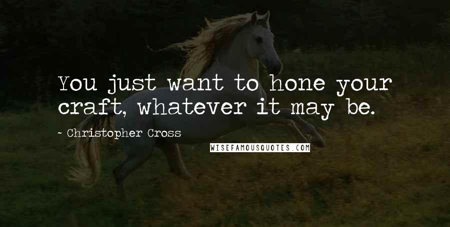 Christopher Cross Quotes: You just want to hone your craft, whatever it may be.