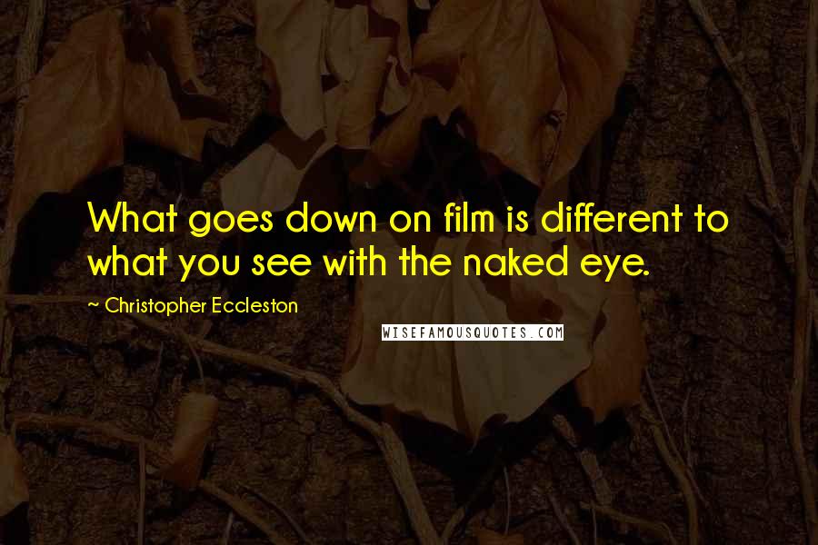 Christopher Eccleston Quotes: What goes down on film is different to what you see with the naked eye.