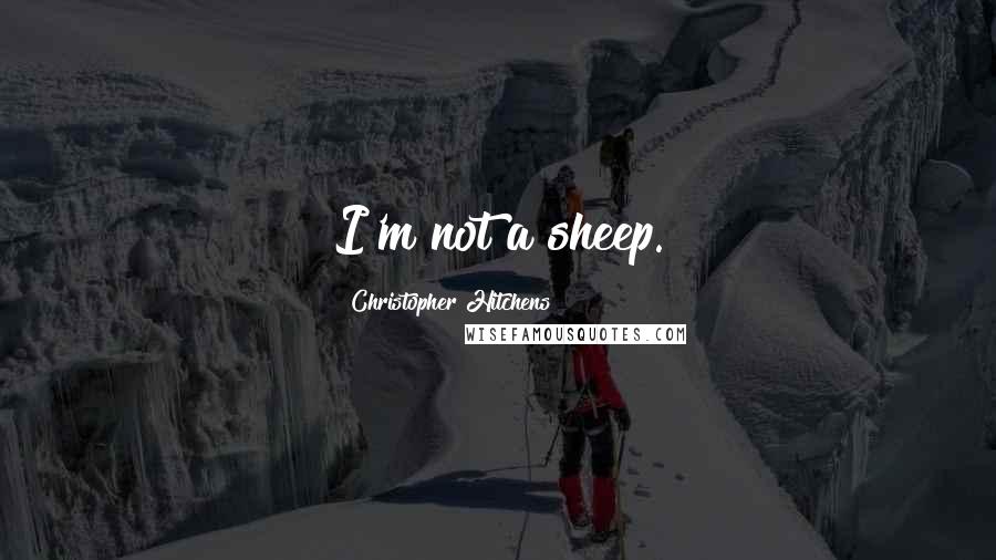 Christopher Hitchens Quotes: I'm not a sheep.