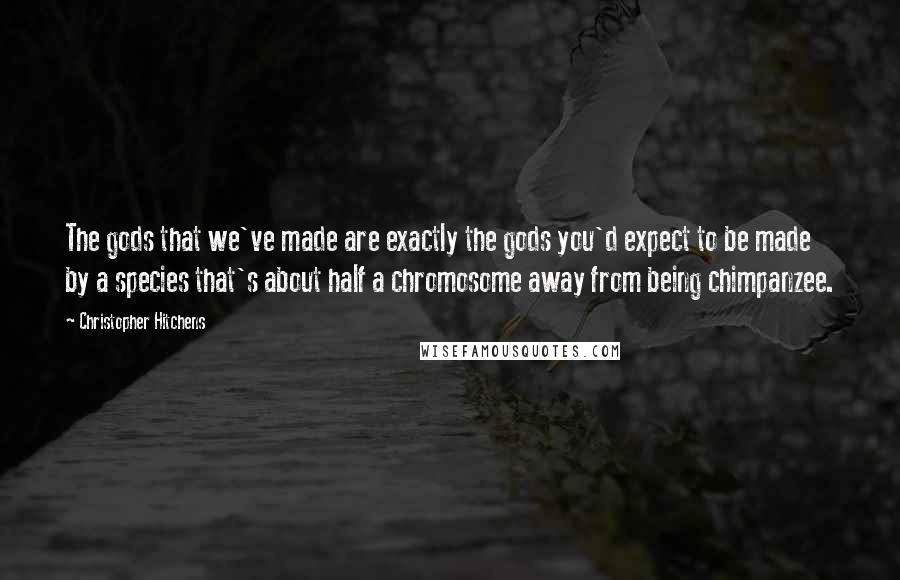 Christopher Hitchens Quotes: The gods that we've made are exactly the gods you'd expect to be made by a species that's about half a chromosome away from being chimpanzee.