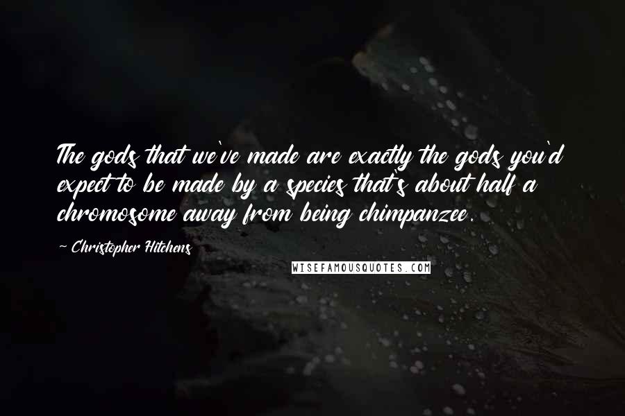 Christopher Hitchens Quotes: The gods that we've made are exactly the gods you'd expect to be made by a species that's about half a chromosome away from being chimpanzee.