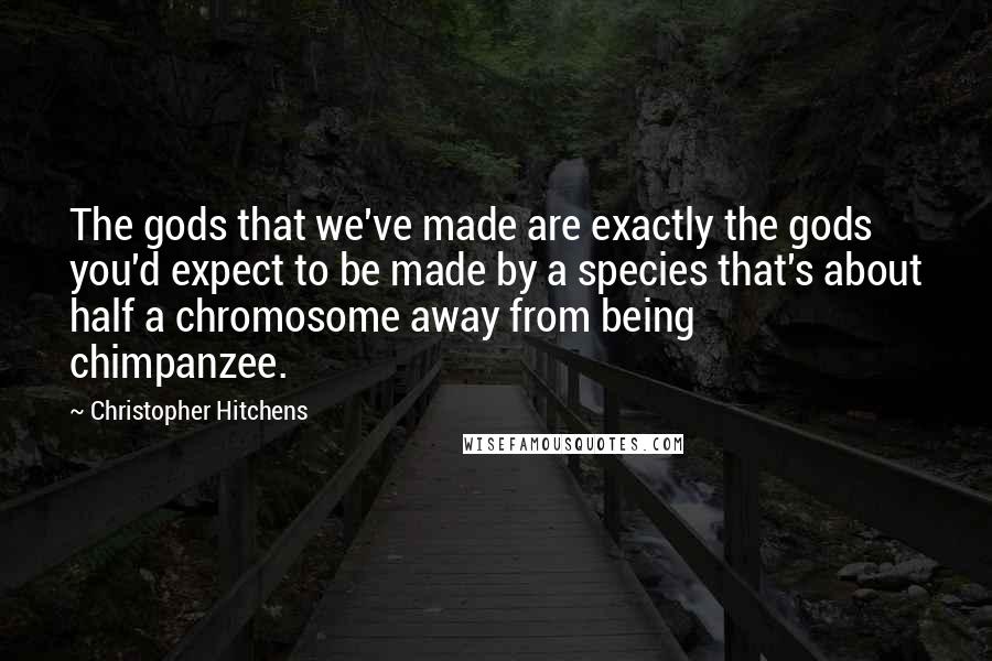 Christopher Hitchens Quotes: The gods that we've made are exactly the gods you'd expect to be made by a species that's about half a chromosome away from being chimpanzee.