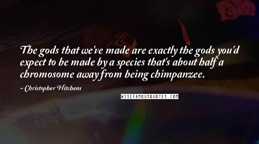 Christopher Hitchens Quotes: The gods that we've made are exactly the gods you'd expect to be made by a species that's about half a chromosome away from being chimpanzee.