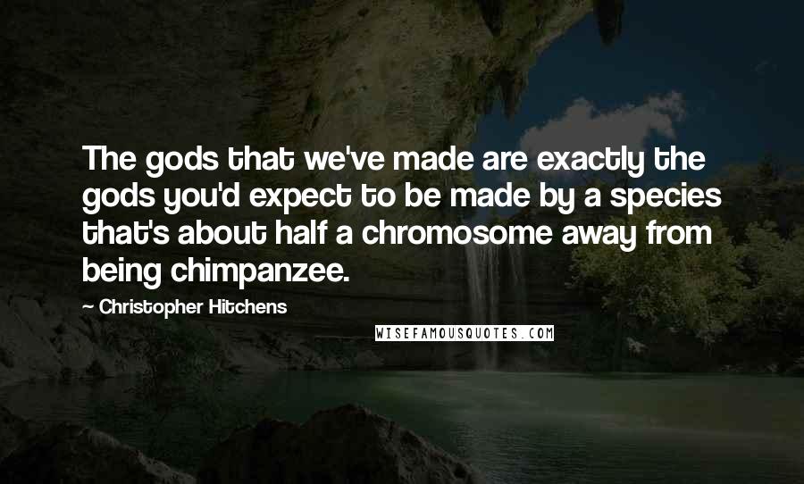 Christopher Hitchens Quotes: The gods that we've made are exactly the gods you'd expect to be made by a species that's about half a chromosome away from being chimpanzee.