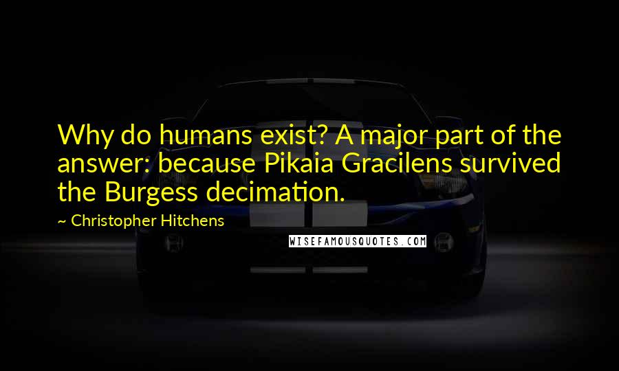 Christopher Hitchens Quotes: Why do humans exist? A major part of the answer: because Pikaia Gracilens survived the Burgess decimation.