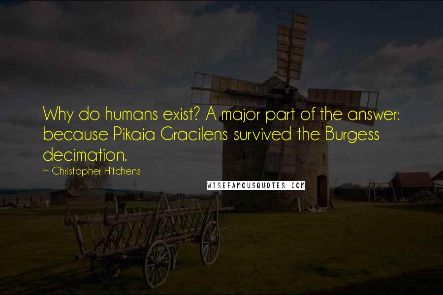 Christopher Hitchens Quotes: Why do humans exist? A major part of the answer: because Pikaia Gracilens survived the Burgess decimation.