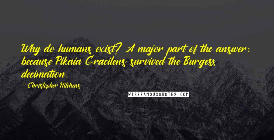 Christopher Hitchens Quotes: Why do humans exist? A major part of the answer: because Pikaia Gracilens survived the Burgess decimation.