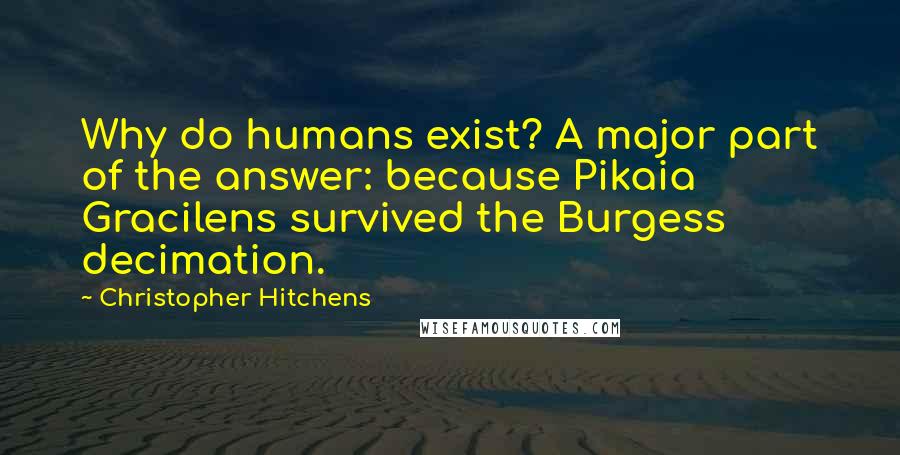 Christopher Hitchens Quotes: Why do humans exist? A major part of the answer: because Pikaia Gracilens survived the Burgess decimation.