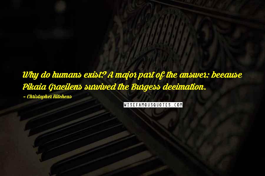 Christopher Hitchens Quotes: Why do humans exist? A major part of the answer: because Pikaia Gracilens survived the Burgess decimation.