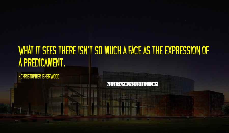 Christopher Isherwood Quotes: What it sees there isn't so much a face as the expression of a predicament.