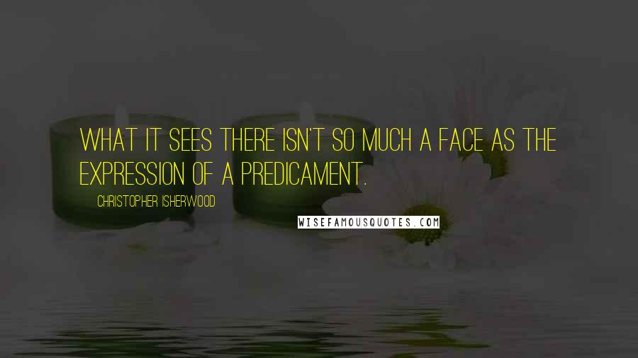 Christopher Isherwood Quotes: What it sees there isn't so much a face as the expression of a predicament.