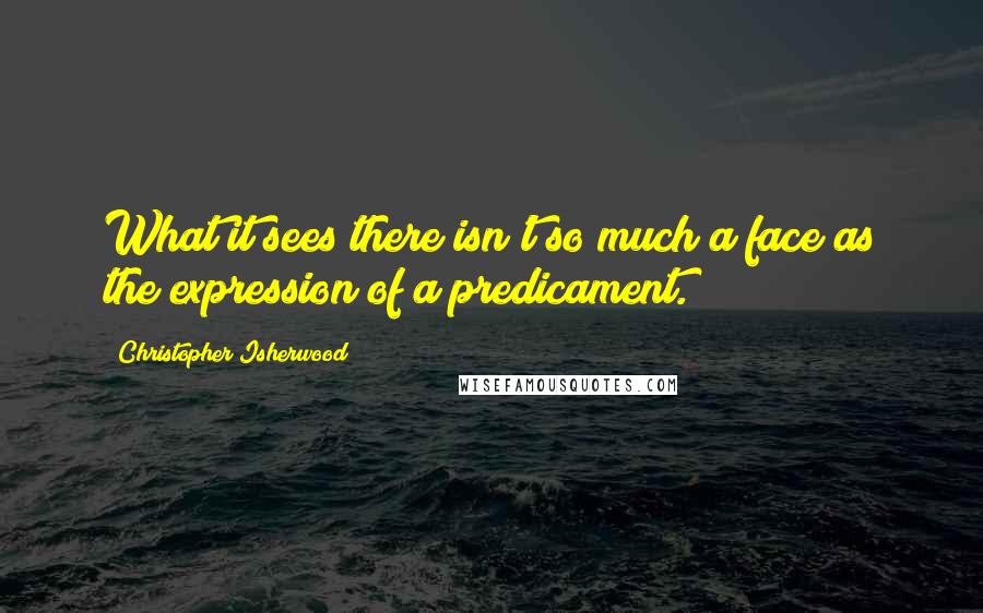 Christopher Isherwood Quotes: What it sees there isn't so much a face as the expression of a predicament.