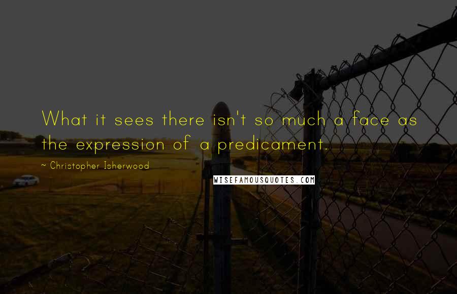 Christopher Isherwood Quotes: What it sees there isn't so much a face as the expression of a predicament.