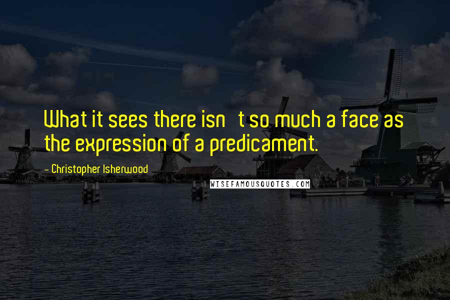 Christopher Isherwood Quotes: What it sees there isn't so much a face as the expression of a predicament.