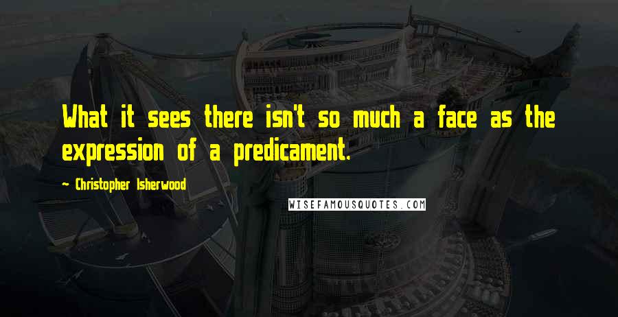 Christopher Isherwood Quotes: What it sees there isn't so much a face as the expression of a predicament.