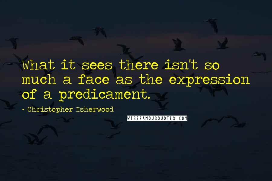 Christopher Isherwood Quotes: What it sees there isn't so much a face as the expression of a predicament.