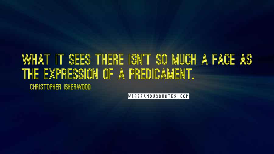 Christopher Isherwood Quotes: What it sees there isn't so much a face as the expression of a predicament.