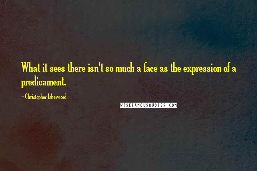 Christopher Isherwood Quotes: What it sees there isn't so much a face as the expression of a predicament.