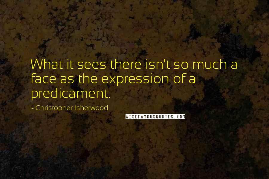 Christopher Isherwood Quotes: What it sees there isn't so much a face as the expression of a predicament.