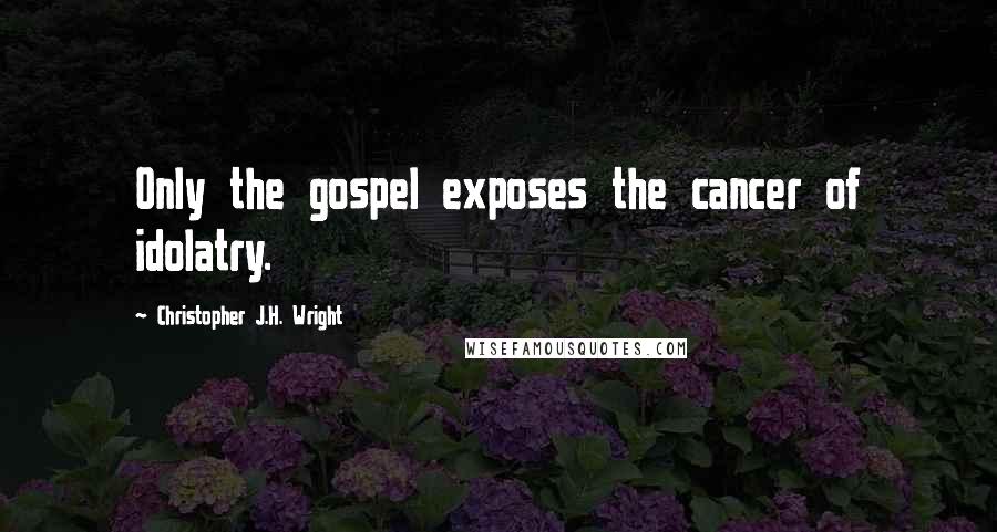 Christopher J.H. Wright Quotes: Only the gospel exposes the cancer of idolatry.