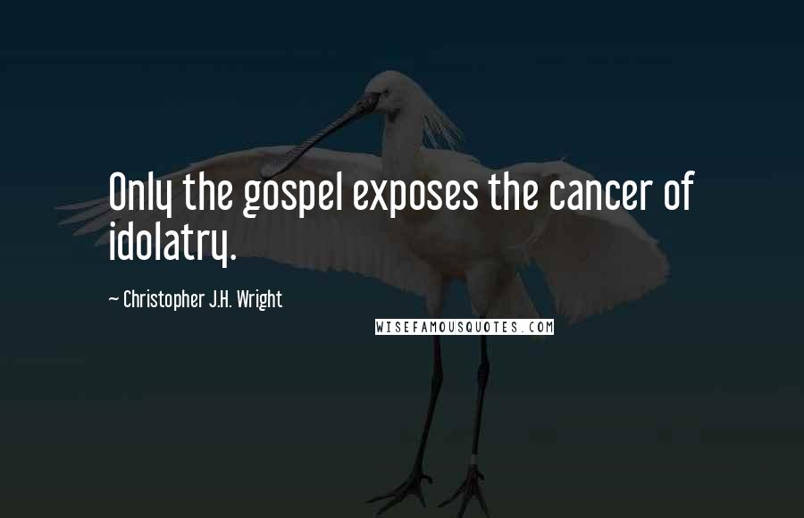 Christopher J.H. Wright Quotes: Only the gospel exposes the cancer of idolatry.