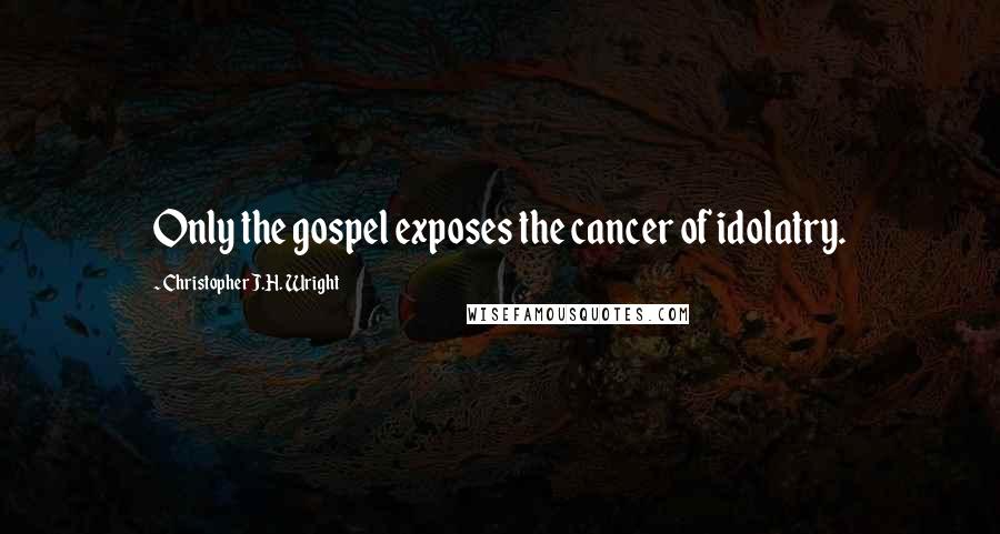 Christopher J.H. Wright Quotes: Only the gospel exposes the cancer of idolatry.