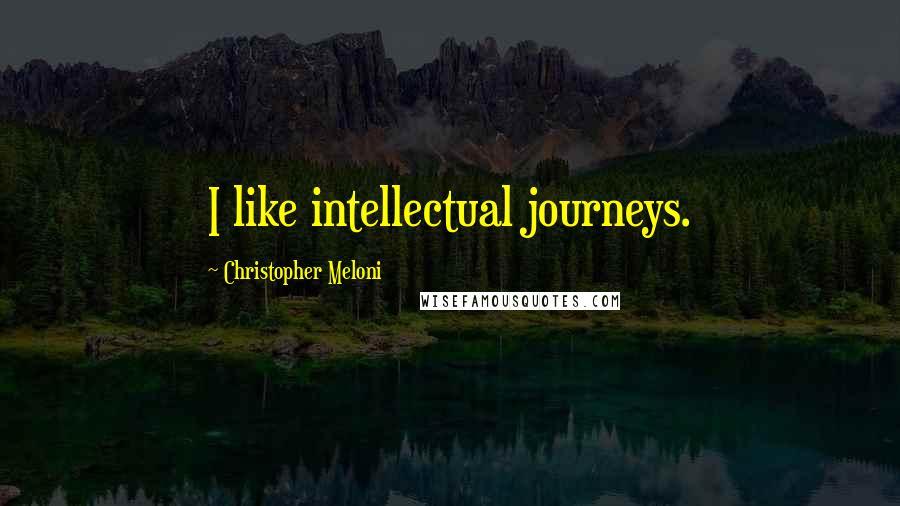 Christopher Meloni Quotes: I like intellectual journeys.