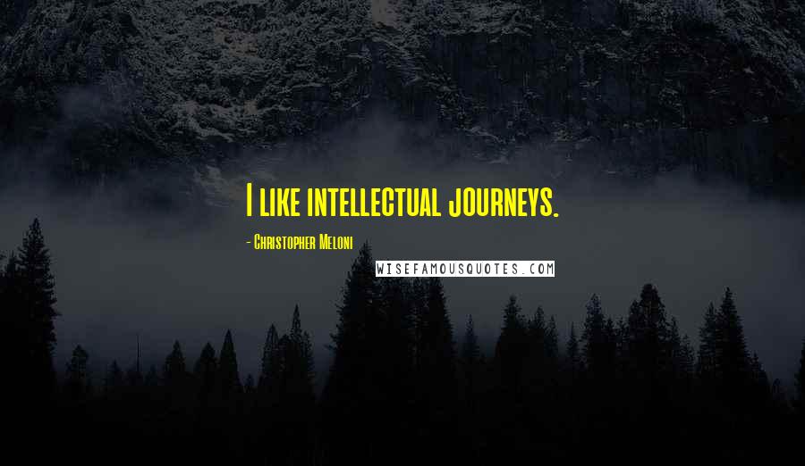 Christopher Meloni Quotes: I like intellectual journeys.