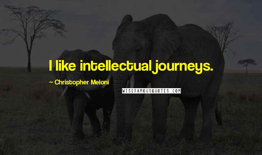 Christopher Meloni Quotes: I like intellectual journeys.