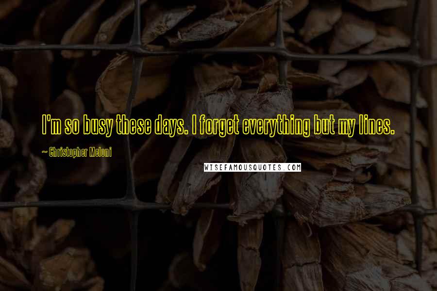 Christopher Meloni Quotes: I'm so busy these days. I forget everything but my lines.