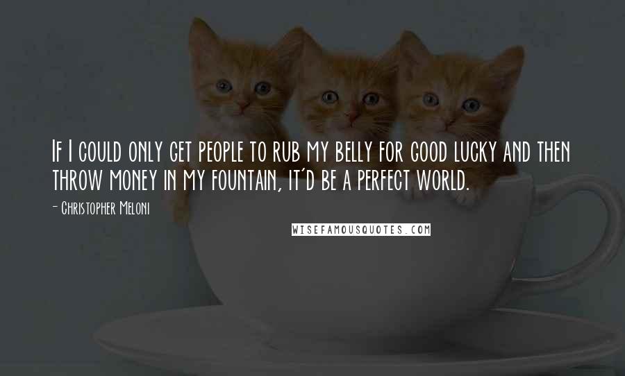 Christopher Meloni Quotes: If I could only get people to rub my belly for good lucky and then throw money in my fountain, it'd be a perfect world.