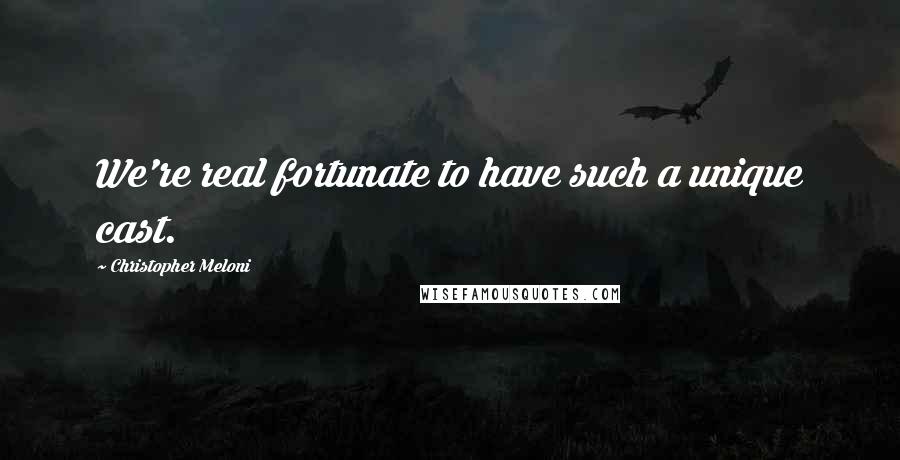 Christopher Meloni Quotes: We're real fortunate to have such a unique cast.