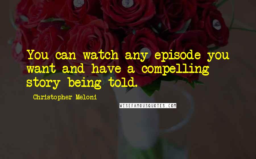 Christopher Meloni Quotes: You can watch any episode you want and have a compelling story being told.