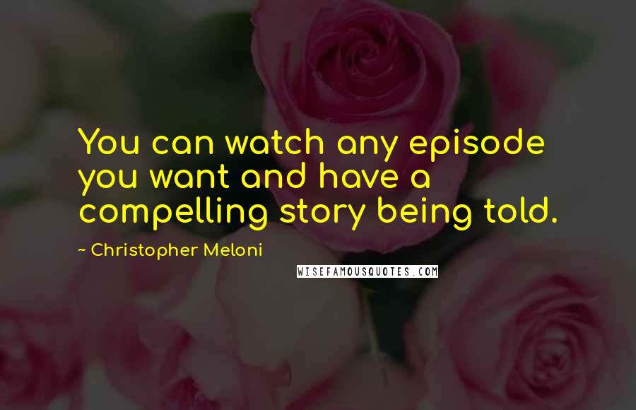 Christopher Meloni Quotes: You can watch any episode you want and have a compelling story being told.