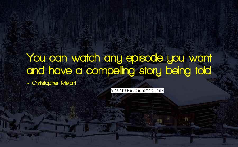 Christopher Meloni Quotes: You can watch any episode you want and have a compelling story being told.