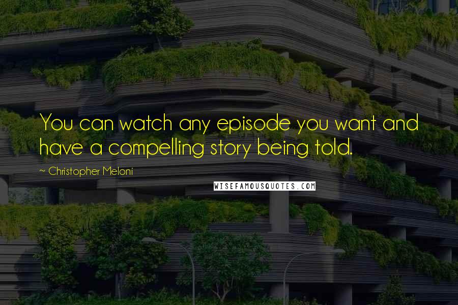 Christopher Meloni Quotes: You can watch any episode you want and have a compelling story being told.