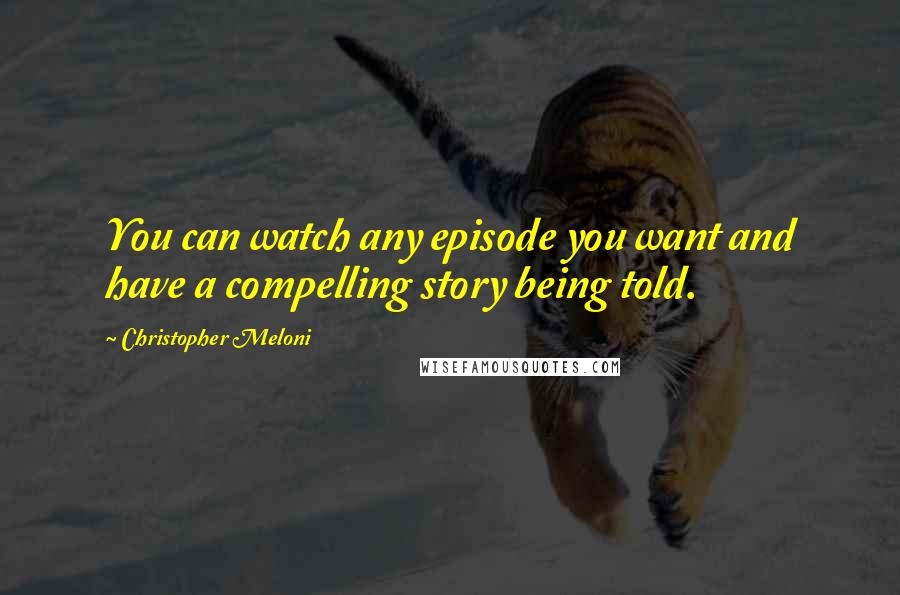 Christopher Meloni Quotes: You can watch any episode you want and have a compelling story being told.