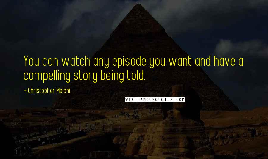 Christopher Meloni Quotes: You can watch any episode you want and have a compelling story being told.