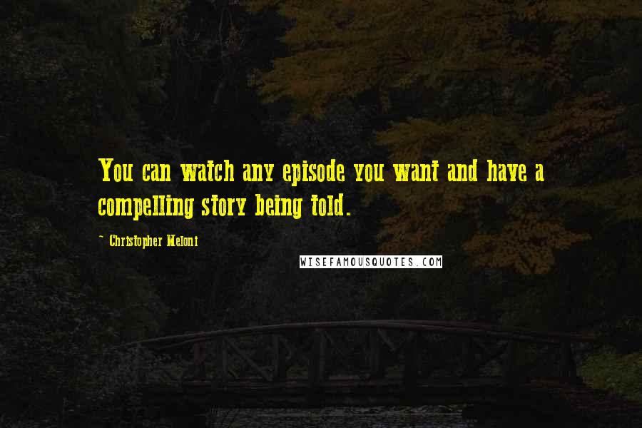 Christopher Meloni Quotes: You can watch any episode you want and have a compelling story being told.