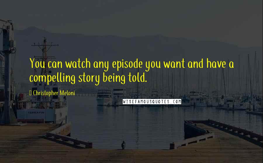 Christopher Meloni Quotes: You can watch any episode you want and have a compelling story being told.