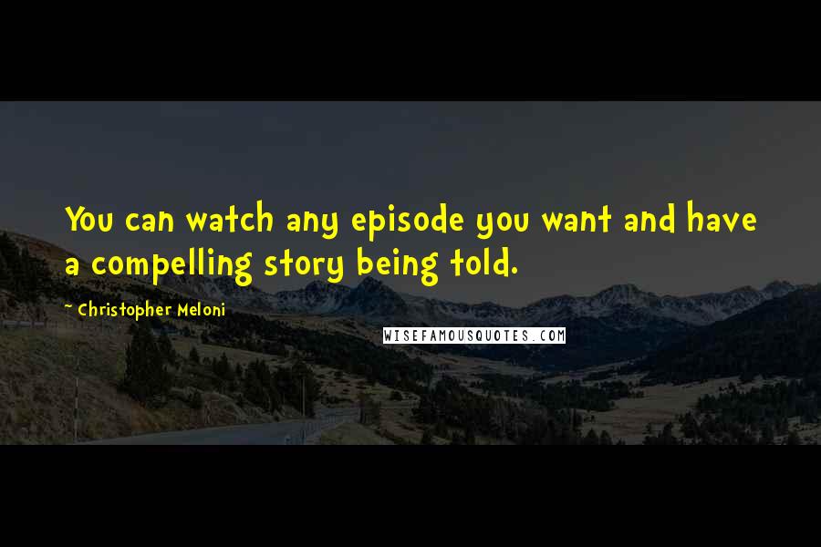 Christopher Meloni Quotes: You can watch any episode you want and have a compelling story being told.