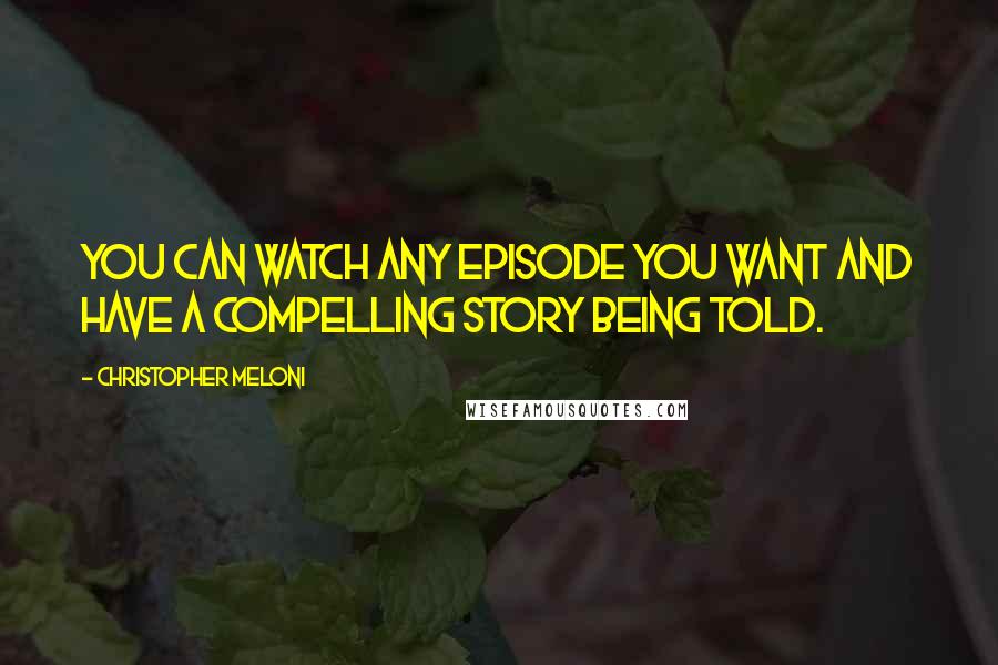 Christopher Meloni Quotes: You can watch any episode you want and have a compelling story being told.