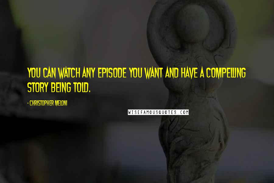 Christopher Meloni Quotes: You can watch any episode you want and have a compelling story being told.