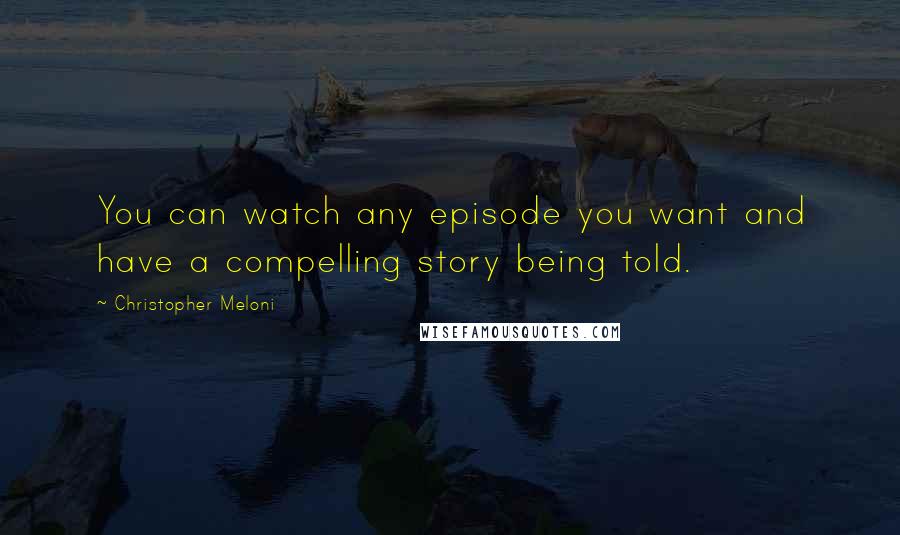 Christopher Meloni Quotes: You can watch any episode you want and have a compelling story being told.