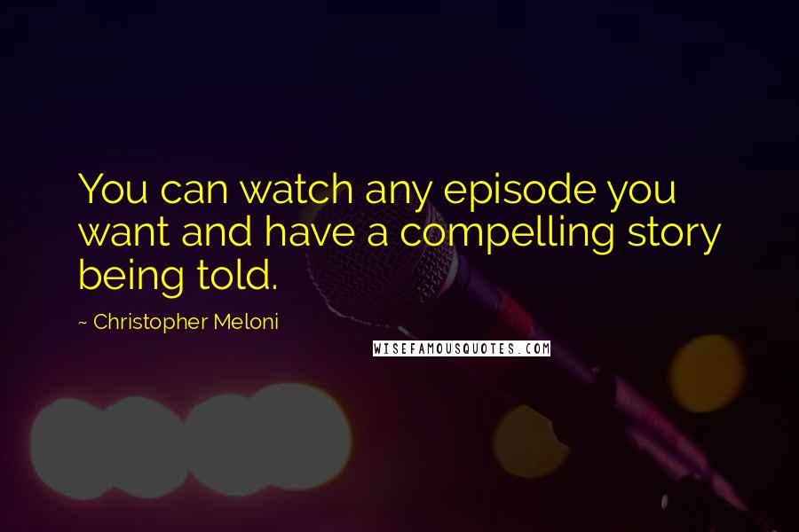 Christopher Meloni Quotes: You can watch any episode you want and have a compelling story being told.