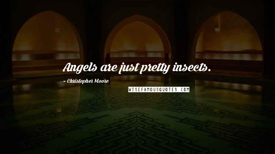 Christopher Moore Quotes: Angels are just pretty insects.