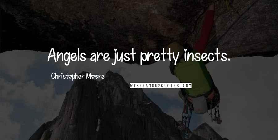 Christopher Moore Quotes: Angels are just pretty insects.