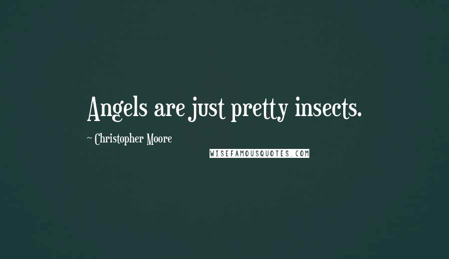 Christopher Moore Quotes: Angels are just pretty insects.